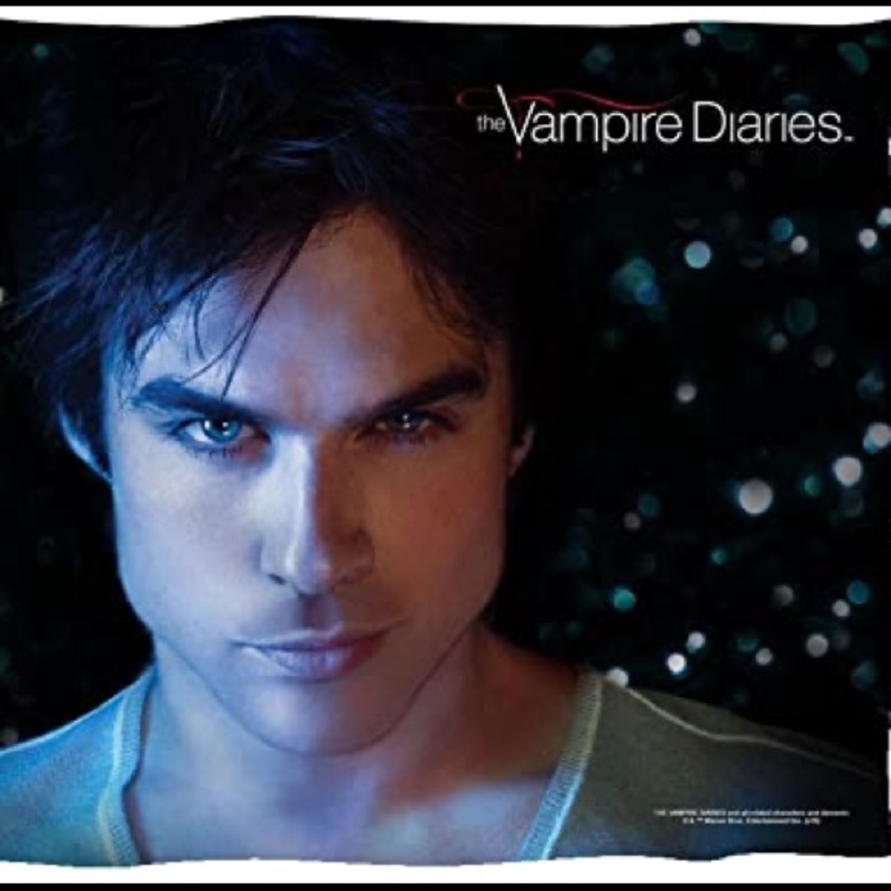 TVD pillowcase *sold*